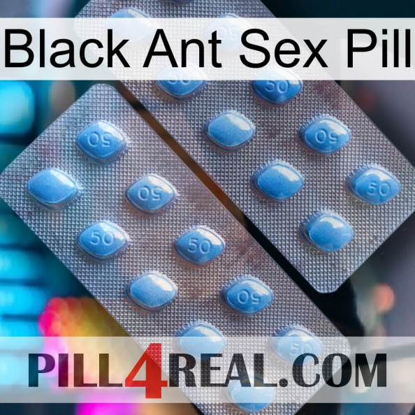 Black Ant Sex Pill viagra4.jpg